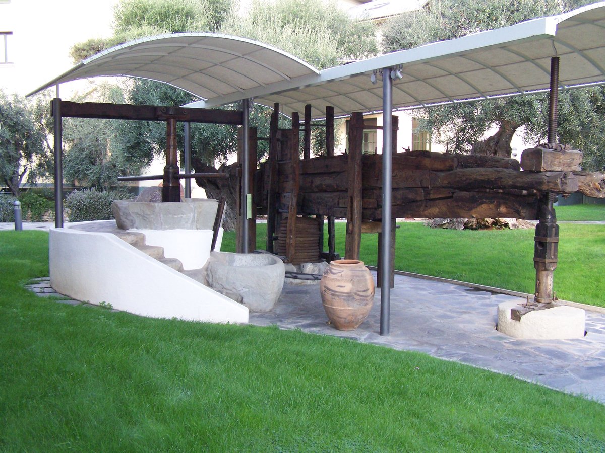 Museo dell'Olivo "Carlo Carli" - 1